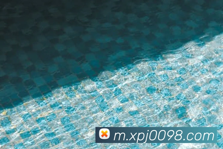 奖项图1